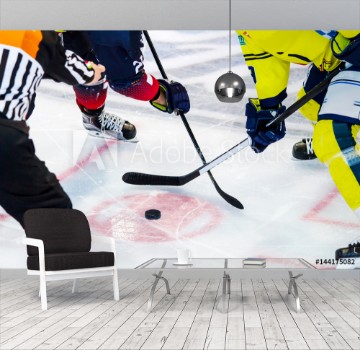 Picture of Ice hockey player on the ice